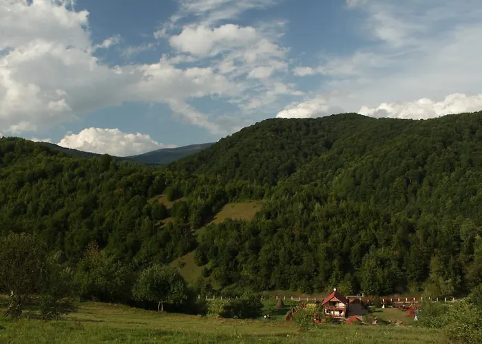 Sontsya *