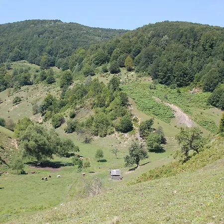 Dom wakacyjny Sontsya *