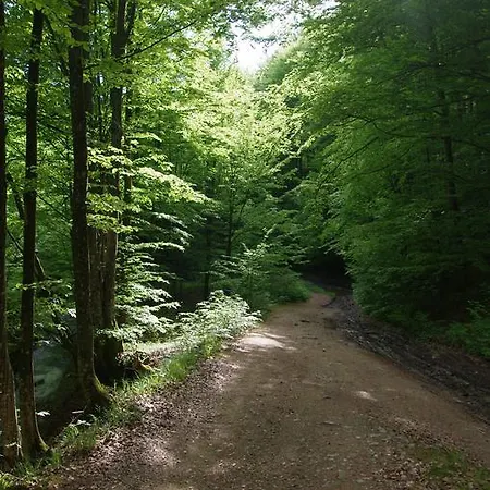 Sontsya Dom wakacyjny