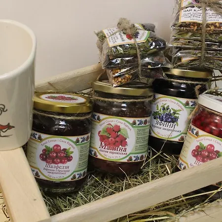 Sontsya Dom wakacyjny Tur'ya Polyana